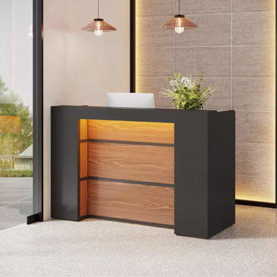 Modern Reception Desk With LED Lights, Front Counter With Storage For Office Lobby, Beauty Salon, Retail Store, Clinic, Or Checkout Area