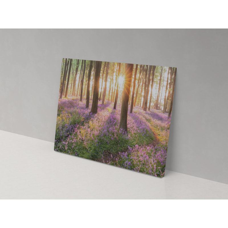 Bluebell Sunbeams - Wrapped Canvas Print, 52cm H x 82cm W x 4cm D