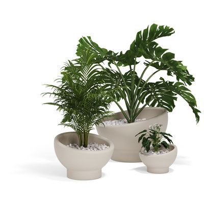 Luna Planter