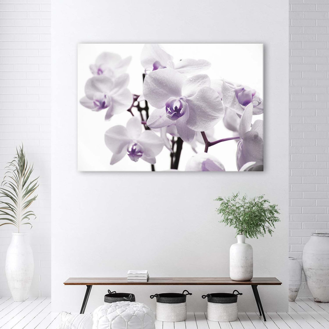 Leinwandbild Orchid Flower Purple