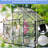 Walk-In Greenhouse 6X6ft - Black Polycarbonate With Stable Framework All Season Backyard Adjustable Roof, Galvanized Base Black, Heavy Duty For Outdoor Sliding Door, Good Drainage, Roof-126422895