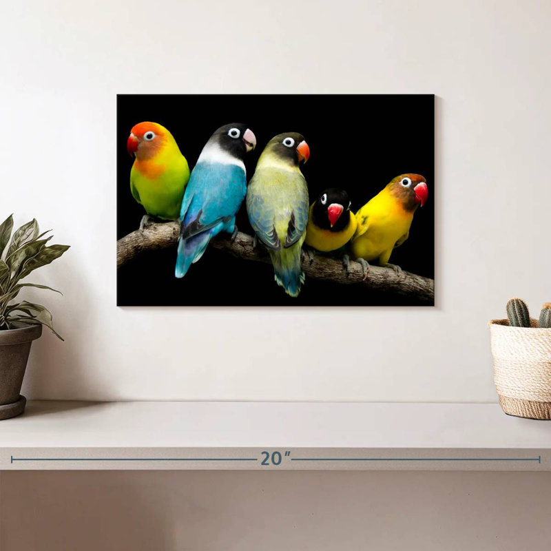 Brampt Five Lovebird Pets, 8" H x 12" W