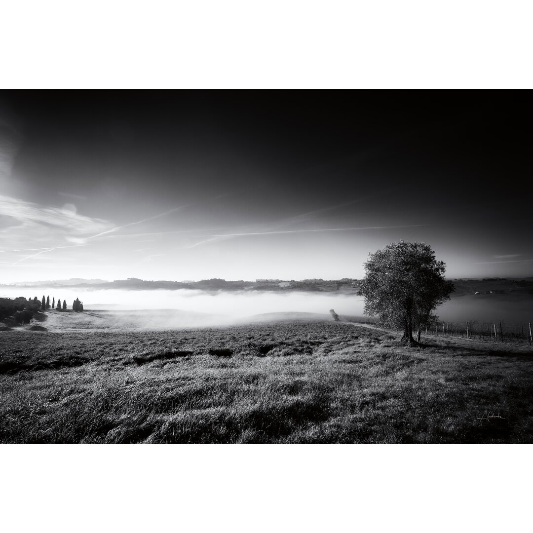 Valley Fog von Aledanda - Leinwandbild