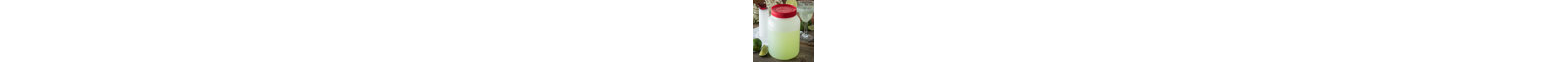 Carlisle Food Service Products Circle Food Storage Container