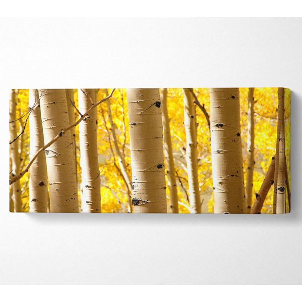 Union Rustic Birch Trees - Wrapped Canvas Art Prints | Wayfair.co.uk
