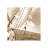 Nautical Guide Print by Sofia Fox