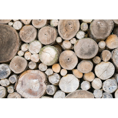 Unknown - Wrapped Canvas Photograph