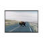 « buffalo bison » par chelsea victoria-impression-53128141-49900655