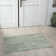 Textured Fringed Area Rug
