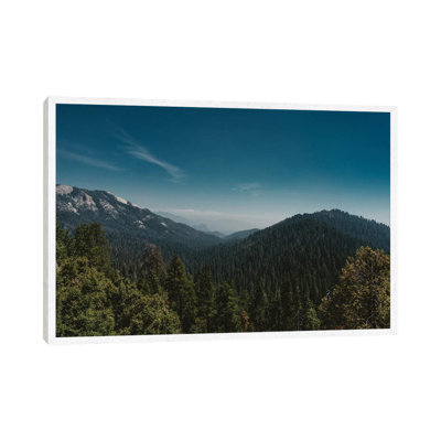 Sequoia National Park by Bethany Young - Print on Canvas