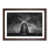 Walnut Framed selected