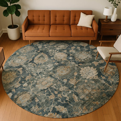 Machine Washable Indoor/Outdoor Chantille ACN2528 Traditional Rug