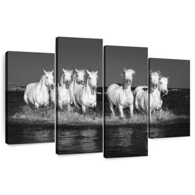 Chevaux de Camargue monochromes