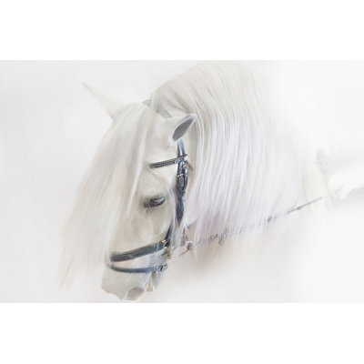 " Purebred III " by Ozana Sturgeon