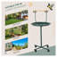 Green Steel Bird Training Activity Playground with Perch