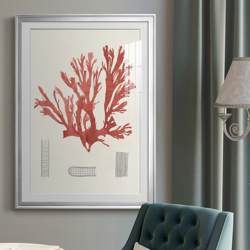 Étude de corail rétro IV - reproduction de cadre photo, Chrome, H 24,5 po x l 18,5 po x P 1 po