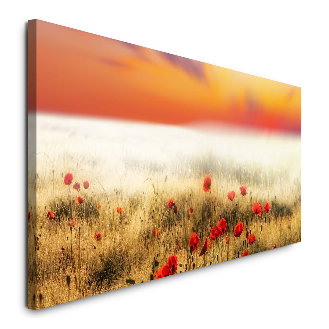 Leinwandbild Rote Mohnblumen im Feld