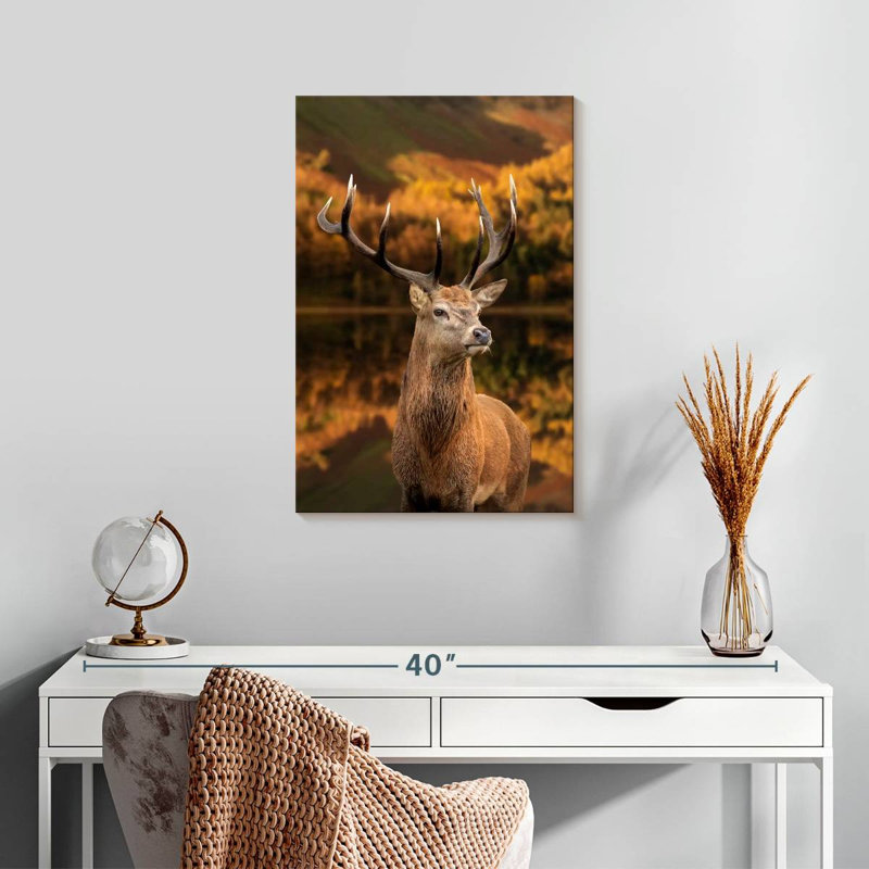 Brampt Mighty Stag Deer, 24" H x 16" W