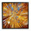 Art mural sur toile Stupell Industries Colorado Autumn Trees par Lena Owens-91308996