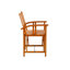Balago Leather Folding Chair, Brown