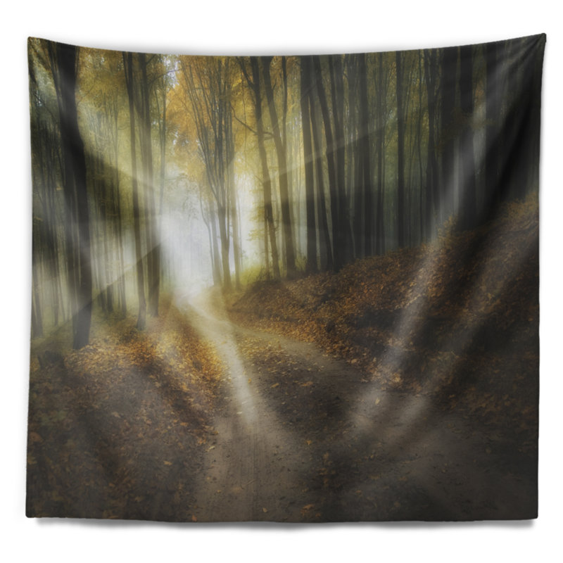 Rayons de soleil lumineux dans la tapisserie d'automne coloré Landscape, H 50 po x l 60 po