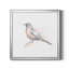 «Robin Bird S Croquis II», reproduction d'art sur toile-24432780-24432816