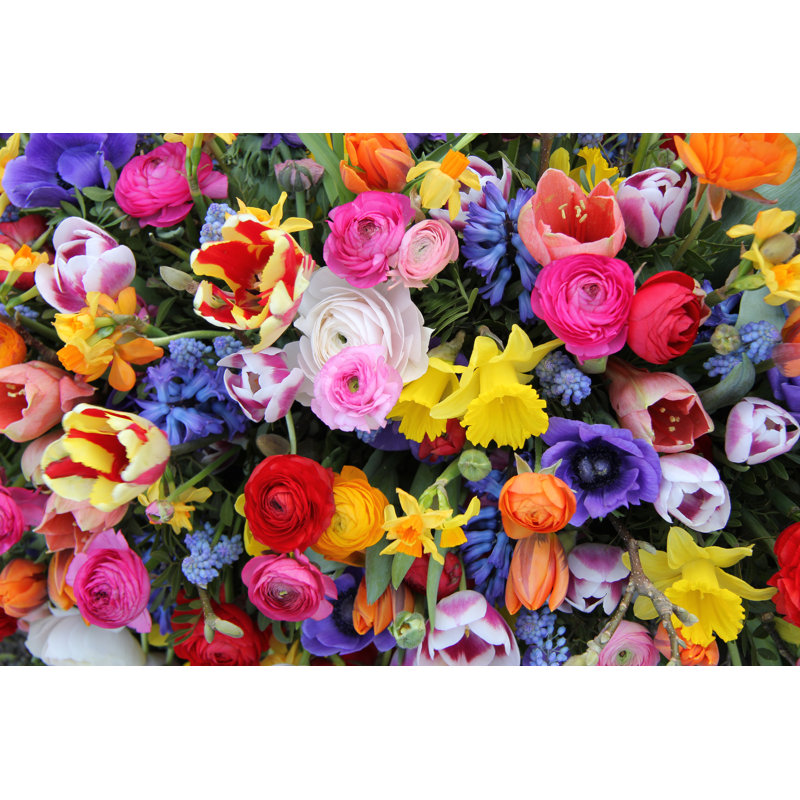 Colorful Spring Flowers - Wrapped Canvas Print, 30cm H x 46cm W x 3.8cm D	