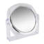 Miroir grossissante alexeah
