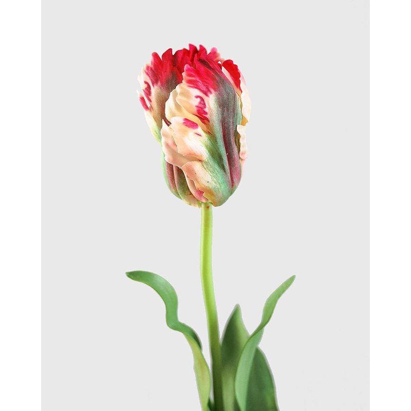 Real Touch Lemon Parrot Tulip 27", White