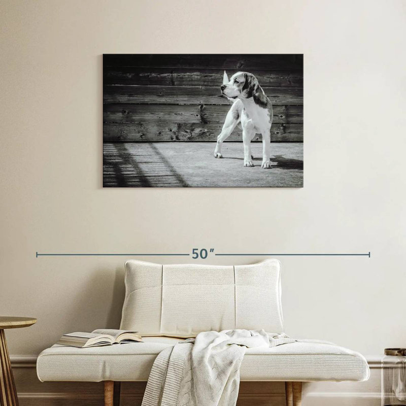 Beagle Brampt monochrome, H 24 po x l 36 po