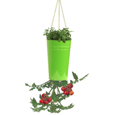 Kile Metal Hanging Planter