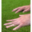 Bridgete 30mm Pet-Friendly Artificial Grass, Plush Fake Grass-8m(26'3") X 2m(6'6")-16m²