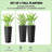 Set Of 2 Flower Pots,Tall Planters,Flower Boxs-39856944
