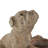 Cole And Grey 1 Piece Resin Textured Dog Planter With Antique Pot Set