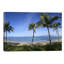 Palm Tree Lined Beach, Maui, Hawaii, USA by Panoramic Images - Wrapped Canvas Print-1572000313