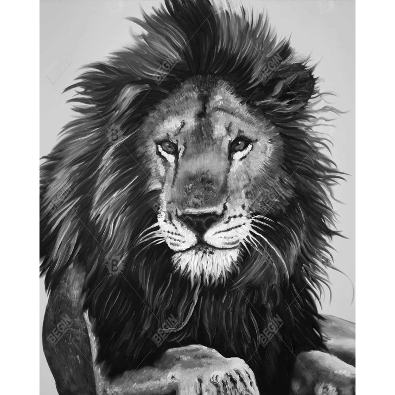 Le roi lion - Toile avec cadre noir | Décoration animalière