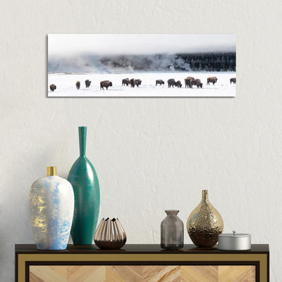 View Of Bison Herd Fountain Flats, Yellowstone National Park, Wyoming, USA - Wrapped Canvas Panoramic Print