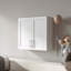 Stackable Wall Mounted Storage Cabinet with Movable Shelves