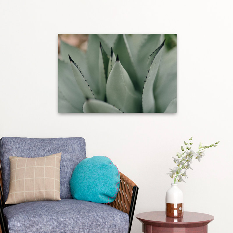 Plantes, fleurs, paysage, nature, somptueux art mural II, H 16 po x l 24 po