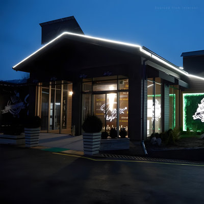 Guirlande lumineuse néon commerciale 50 pi, IP67 imperméable, blanc pur