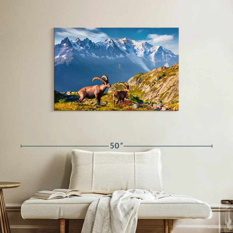 Bouquetin Alvord Mont Blanc, H 26 po x l 39 po