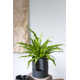 Patti Handmade Ceramic Pot Planter
