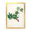 Botanique rétro - peinture sur toile-59815092-59815090