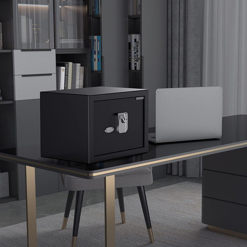 Coffre-fort Bioétrique Pour Epreintes Digitales – Rangeent Coulissant Pour Pistolets, Boîte à