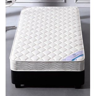 6'' Plush Mattress