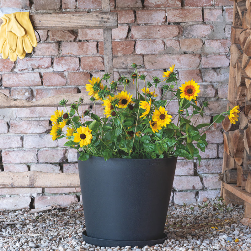 Raesha 11.4" Planter | Light Shock Resistant Plastic | Indoor/outdoor Pot For Patio/porch | Drain Plug | Trendy Planter For Plants, Flowers, Garden