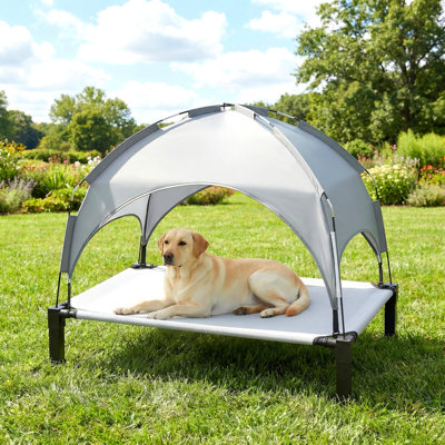 Elevated Dog Bed with Removable Canopy