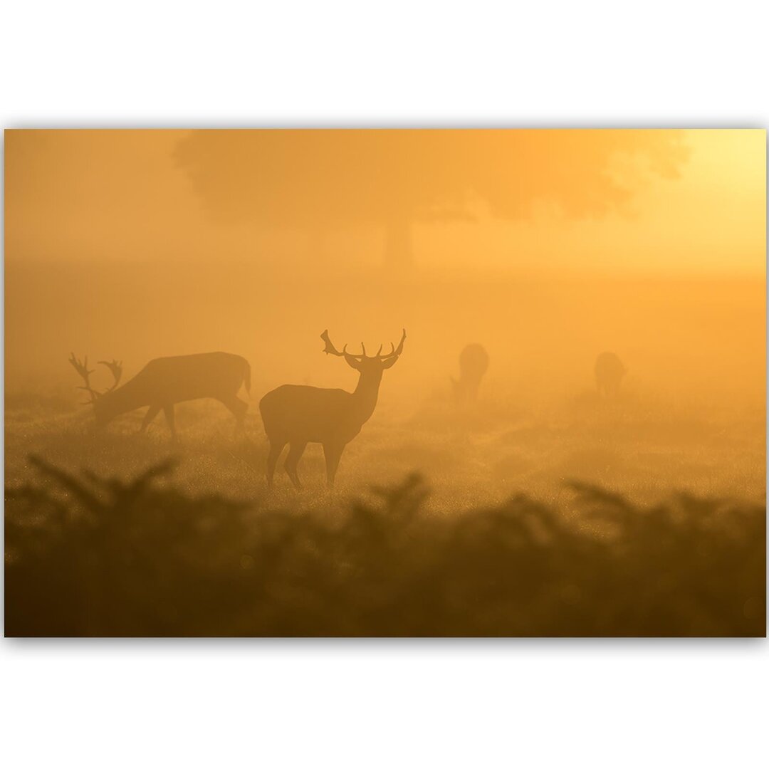 Leinwandbild Hirschherde im Morgengrauen