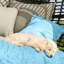 Fairborn Rattan Pod Chair-55923473