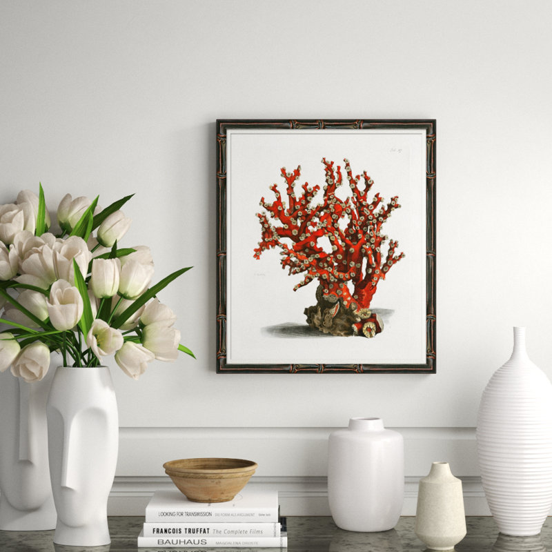 Red Coral Illustration III Giclee Print by Soicher Marin Archives